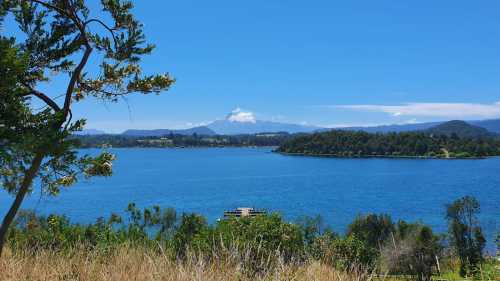 Venta Parcelas con Orilla de Lago en Panguipulli