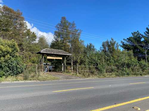 Venta Terreno de 3ha Camino Internacional sector aeropuerto