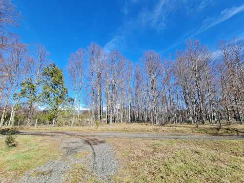 Venta de 2 Casas en Hermosa Parcela, Sector Quetroleufu, Pucn