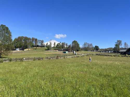 Venta Parcela con Vista al Lago y al Volcn en Condominio Vista Lago