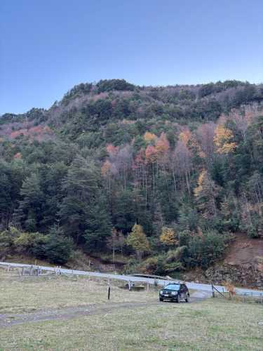 Venta Campo con Bosque sobre ladera de 5,4 Hectreas en Sector Puesco Bajo