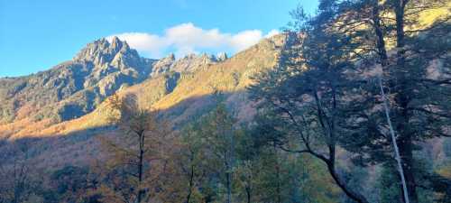 Venta Parcela con Orilla de Ro, sector Puesco Bajo