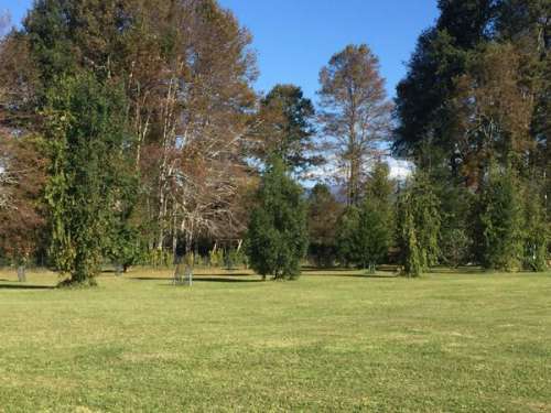 Venta Parcela Lote 8 Lote El Cristo Caburgua, Pucn